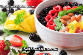 1 Öğün Diyetin Maliyeti Ne Kadar?