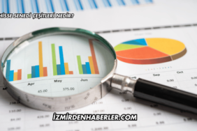 Hisse Senedi Çeşitleri Nedir?