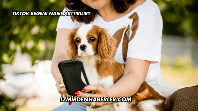 TikTok Beğeni Nasıl Arttırılır?