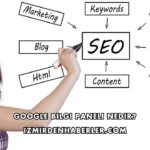 Google Bilgi Paneli Nedir?