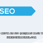 Mukas Medya ile SEO Çalışması Nasıl Yapılır?