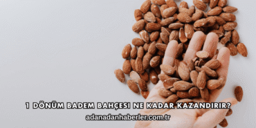 1 Dönüm Badem Bahçesi Ne Kadar Kazandırır?