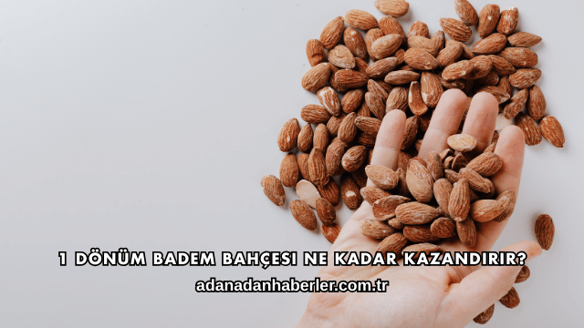 1 Dönüm Badem Bahçesi Ne Kadar Kazandırır?