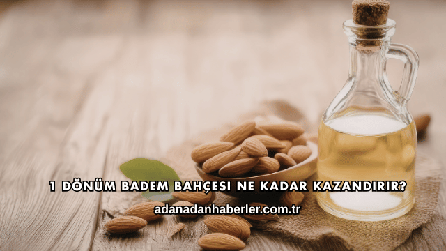 1 Dönüm Badem Bahçesi Ne Kadar Kazandırır?