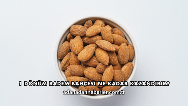 1 Dönüm Badem Bahçesi Ne Kadar Kazandırır?