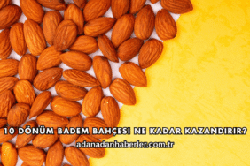 10 Dönüm Badem Bahçesi Ne Kadar Kazandırır?