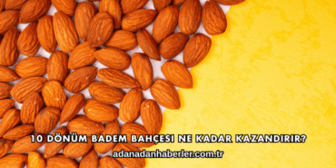 10 Dönüm Badem Bahçesi Ne Kadar Kazandırır?