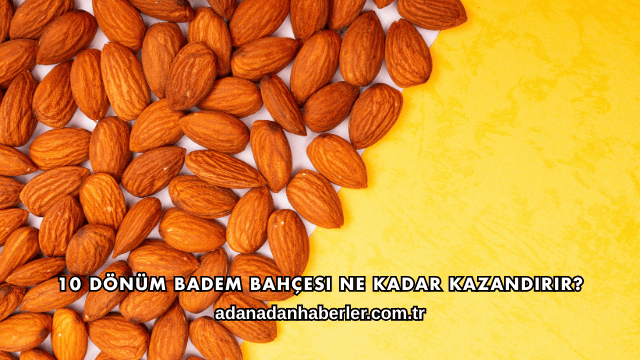 10 Dönüm Badem Bahçesi Ne Kadar Kazandırır?