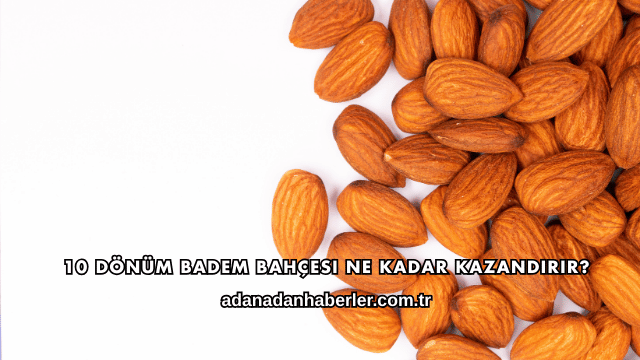 10 Dönüm Badem Bahçesi Ne Kadar Kazandırır?