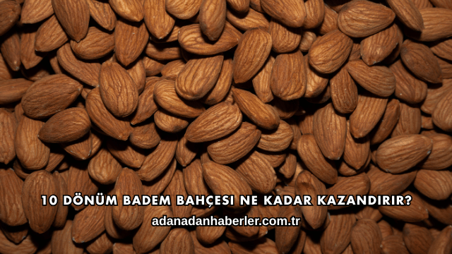 10 Dönüm Badem Bahçesi Ne Kadar Kazandırır?