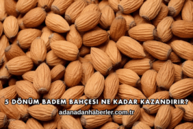 5 Dönüm Badem Bahçesi Ne Kadar Kazandırır?