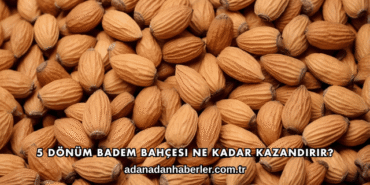 5 Dönüm Badem Bahçesi Ne Kadar Kazandırır?