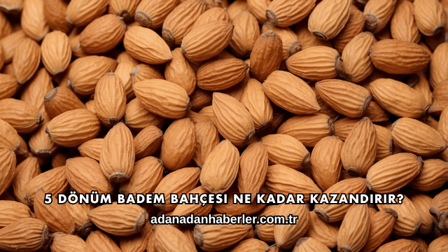 5 Dönüm Badem Bahçesi Ne Kadar Kazandırır?