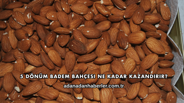 5 Dönüm Badem Bahçesi Ne Kadar Kazandırır?
