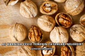 Aç Karnına Ceviz Yemenin Faydaları Nelerdir?