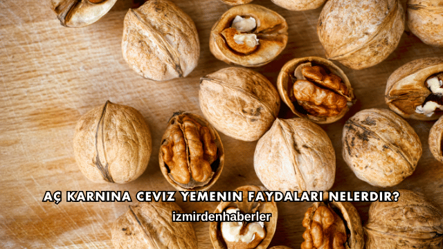 Aç Karnına Ceviz Yemenin Faydaları Nelerdir?