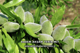 Badem Akşam Yenir mi