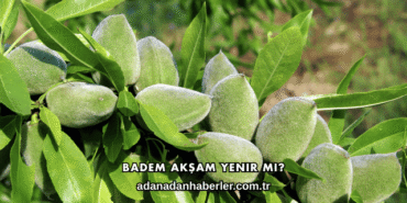 Badem Akşam Yenir mi