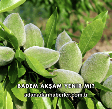 Badem Akşam Yenir mi
