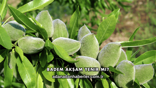 Badem Akşam Yenir mi