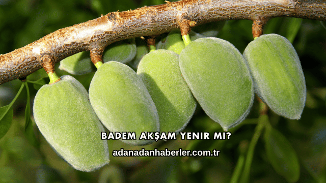 Badem Akşam Yenir mi