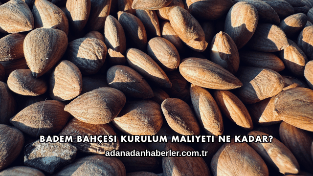 Badem Bahçesi Kurulum Maliyeti Ne Kadar?