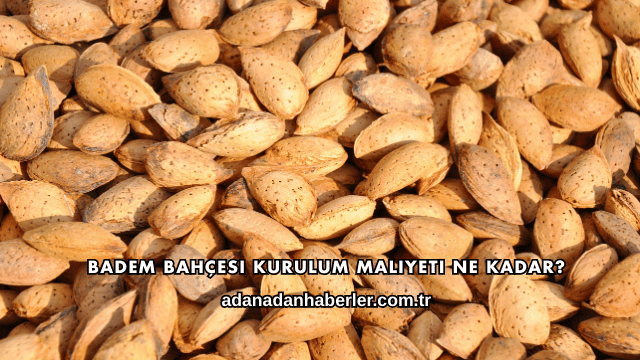 Badem Bahçesi Kurulum Maliyeti Ne Kadar?