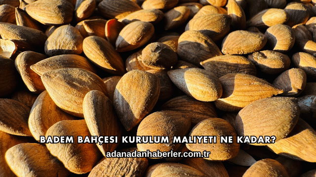 Badem Bahçesi Kurulum Maliyeti Ne Kadar?