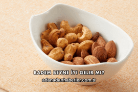Badem Beyne İyi Gelir mi?