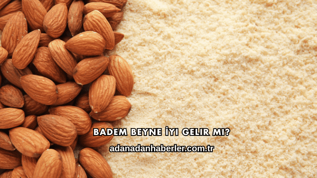 Badem Beyne İyi Gelir mi?