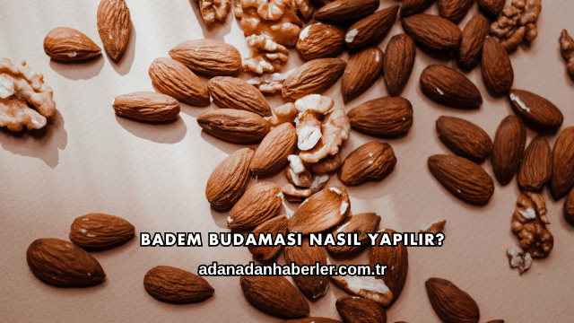 Badem Budaması Nasıl Yapılır?