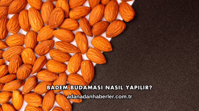 Badem Budaması Nasıl Yapılır?