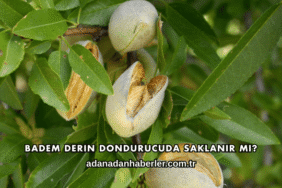 Badem Derin Dondurucuda Saklanır mı?