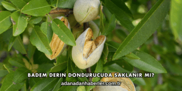 Badem Derin Dondurucuda Saklanır mı?