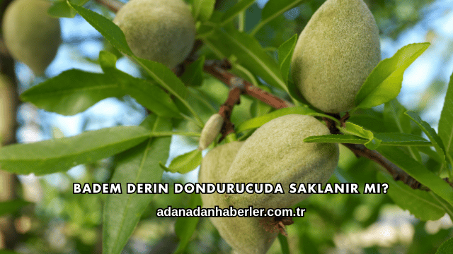 Badem Derin Dondurucuda Saklanır mı?