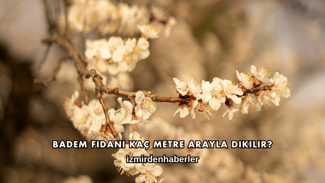 Badem Fidanı Kaç Metre Arayla Dikilir?