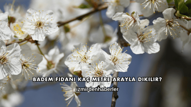 Badem Fidanı Kaç Metre Arayla Dikilir?