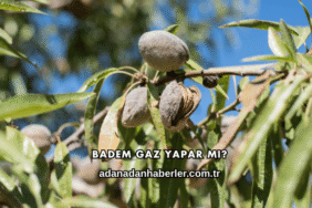 Badem Gaz Yapar mı?