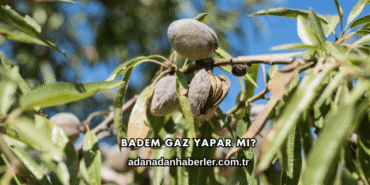 Badem Gaz Yapar mı?