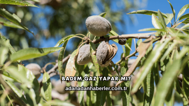 Badem Gaz Yapar mı?