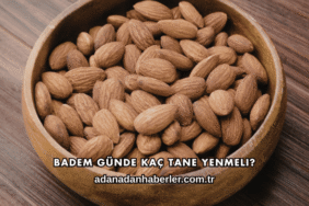 Badem Günde Kaç Tane Yenmeli?