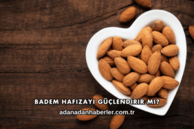 Badem Hafızayı Güçlendirir mi?
