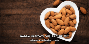 Badem Hafızayı Güçlendirir mi?