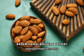 Badem Hangi Bölgede Yetişir?