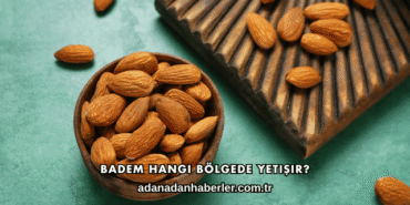 Badem Hangi Bölgede Yetişir?