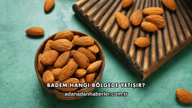 Badem Hangi Bölgede Yetişir?