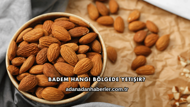 Badem Hangi Bölgede Yetişir?