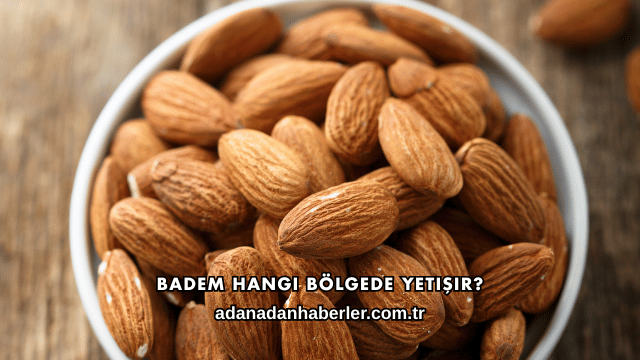 Badem Hangi Bölgede Yetişir?