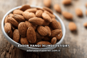 Badem Hangi İklimde Yetişir?