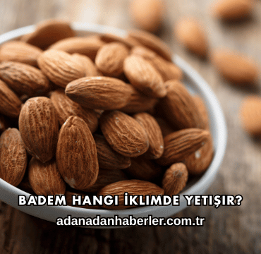 Badem Hangi İklimde Yetişir?